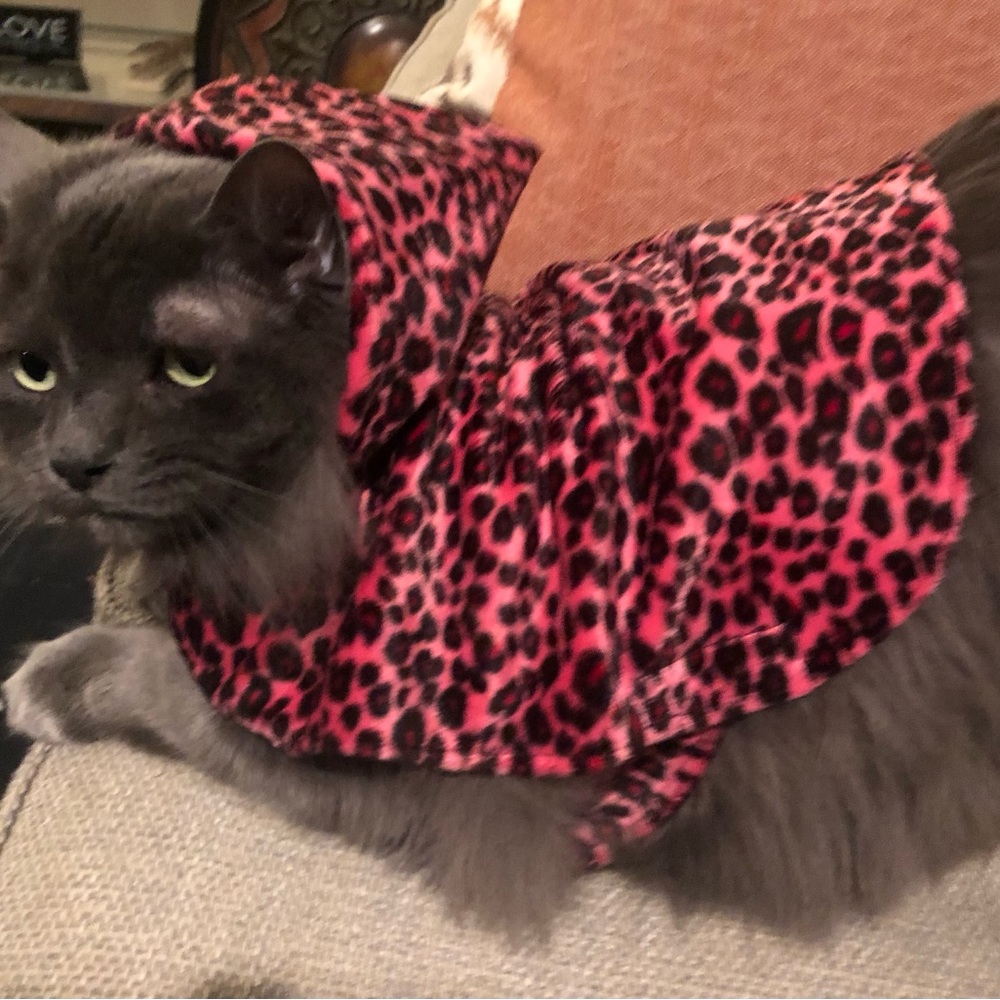 Dog Cat Coat with a Hood Leopard Fur Type Fleece Size Small